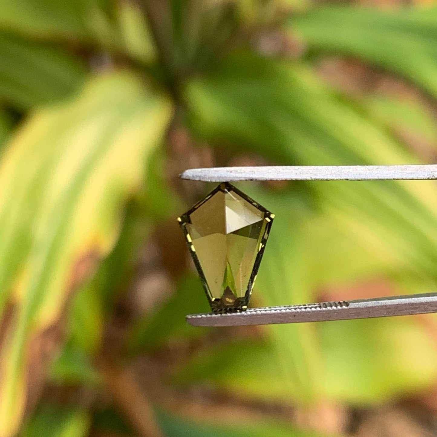 3.0ct Yellow/Green Coffin Cut Australian Sapphire -  Unheated