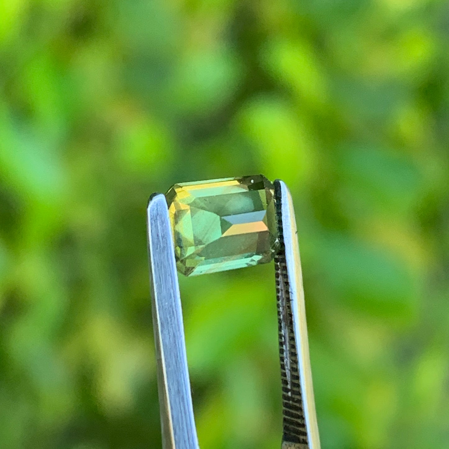 1.25ct Olive Green Australian Sapphire - unheated