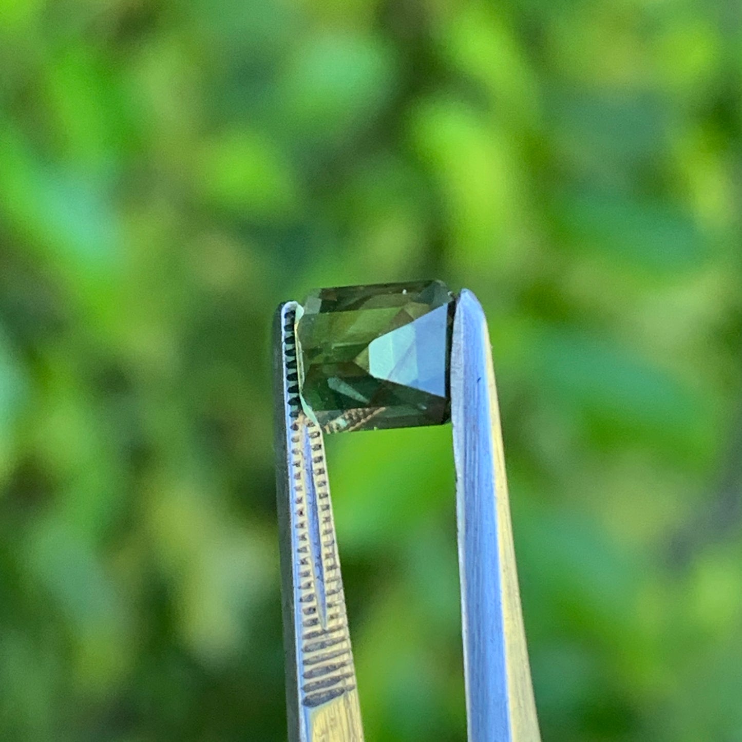 1.25ct Olive Green Australian Sapphire - unheated