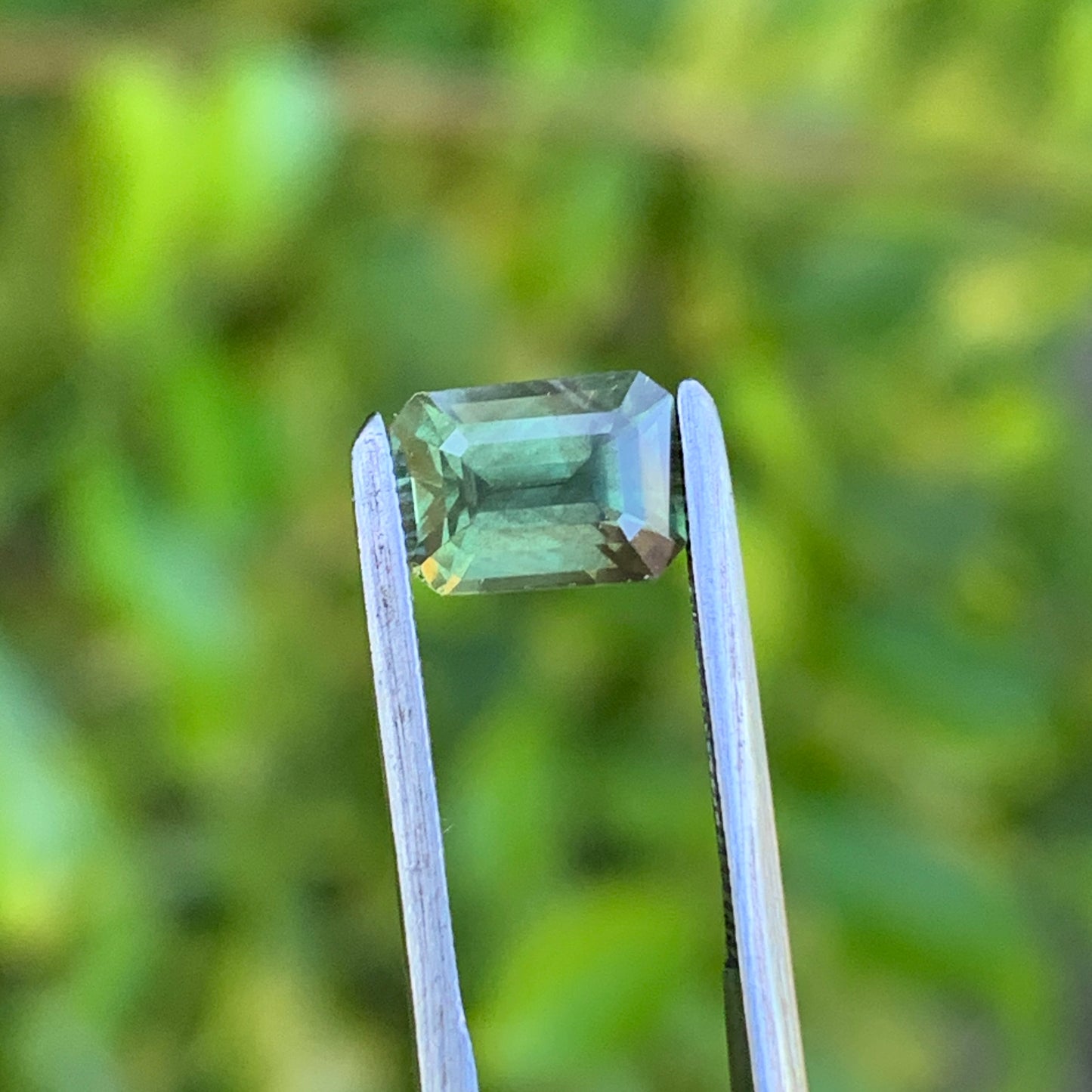 1.25ct Olive Green Australian Sapphire - unheated